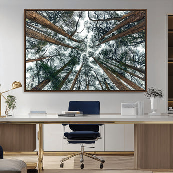 18790-MGV-CV-36X24-Pine Canopy Wall Art – Panoramic View of Towering Pines Canvas Print, Nature-Inspired Decor for Office, Cabin or Living Room