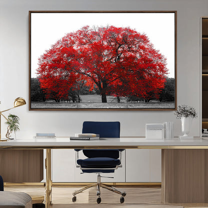 80021-MGV-CV-36X24-Red Tree Wall Art – Striking Black and White Landscape Canvas Print with Vibrant Red Leaves, Modern Nature Decor for Living Room