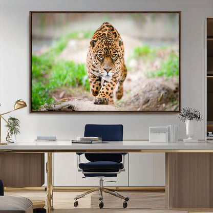 75066-MGV-CV-36X24-Leopard Wall Art Canvas Print, Framed Wild Animal Art Picture Print, Blue Eye Leopard Perfect Wild Minimal Decor Artwork