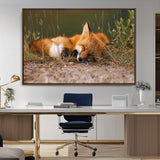 25085-MGV-CV-36X24-Sleeping Fox Wall Art Canvas Print, Framed Rustic Fox Art Picture Print, Wildlife Animal Perfect Rustic Farmhouse Decor Artwork