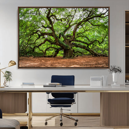 51255351-MGV-CV-36X24-Ancient Tree Wall Art – Majestic Oak Canvas Print, Large Nature Photography, Sacred Forest Landscape Wall Décor, Wisdom Tree