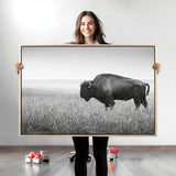 28435251-MGV-CV-36X24-Bison In Prairie Wall Art Canvas Print, Framed Rustic Wildlife Art Picture Print, Wild Buffalo Perfect Rustic Western Decor
