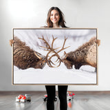 36507609-MGV-CV-36X24-Elk Clash Scene Wall Art Canvas Print, Framed Wildlife Strength Decor Art Picture Print, Snowy Forest Elk Perfect Rustic Lodge