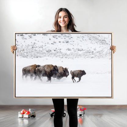 56216945-MGV-CV-36X24-Bison Herd Decor Wall Art Canvas Print, Framed Snowy Bison Scene Art Picture Print, Winter Wildlife Theme Perfect Rustic Western