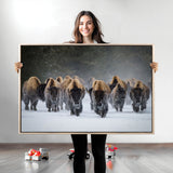 41669135-MGV-CV-36X24-Bison Herd Scene Wall Art Canvas Print, Framed Rustic Wildlife Decor Art Picture Print, Snowy Bison Landscape Perfect Rustic