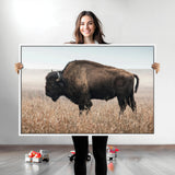 34451925-MGV-CV-36X24-Rustic Bison Decor Wall Art Canvas Print, Framed Buffalo Home Accent Art Picture Print, Prairie Wildlife Scene Perfect Western