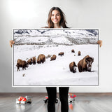 13891210-MGV-CV-36X24-Bison Herd Scene Wall Art Canvas Print, Framed Western Wildlife Decor Art Picture Print, Snowy Mountain Valley Perfect Rustic