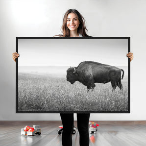 28435251-MGV-CV-36X24-Bison In Prairie Wall Art Canvas Print, Framed Rustic Wildlife Art Picture Print, Wild Buffalo Perfect Rustic Western Decor