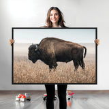 34451925-MGV-CV-36X24-Rustic Bison Decor Wall Art Canvas Print, Framed Buffalo Home Accent Art Picture Print, Prairie Wildlife Scene Perfect Western