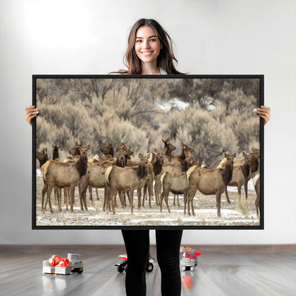 90269422-MGV-CV-36X24-Elk Herd Scene Wall Art Canvas Print, Framed Rustic Wildlife Decor Art Picture Print, Western Cabin Style Perfect Rustic Lodge