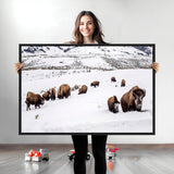 13891210-MGV-CV-36X24-Bison Herd Scene Wall Art Canvas Print, Framed Western Wildlife Decor Art Picture Print, Snowy Mountain Valley Perfect Rustic