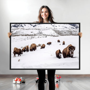 13891210-MGV-CV-36X24-Bison Herd Scene Wall Art Canvas Print, Framed Western Wildlife Decor Art Picture Print, Snowy Mountain Valley Perfect Rustic