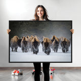 41669135-MGV-CV-36X24-Bison Herd Scene Wall Art Canvas Print, Framed Rustic Wildlife Decor Art Picture Print, Snowy Bison Landscape Perfect Rustic