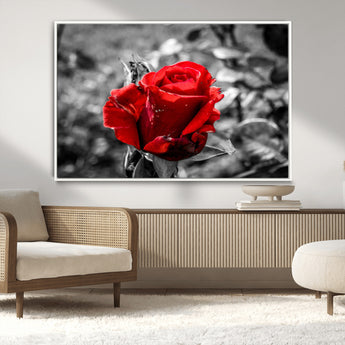 84671-MGV-CV-36X24-Red Rose Wall Art – Vibrant Single Bloom Canvas Print with Black and White Background, Elegant Floral Decor for Living Room,