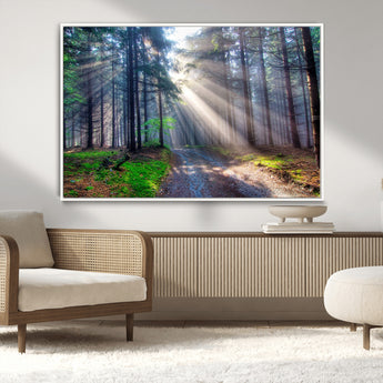 42047-MGV-CV-36X24-Sunlit Forest Path Wall Art – Nature Canvas Print, Serene Woodland Landscape, Perfect Home & Office Decor for Calm and Tranquil