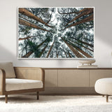 18790-MGV-CV-36X24-Pine Canopy Wall Art – Panoramic View of Towering Pines Canvas Print, Nature-Inspired Decor for Office, Cabin or Living Room