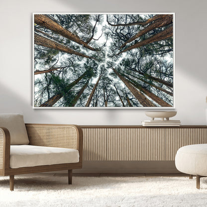 18790-MGV-CV-36X24-Pine Canopy Wall Art – Panoramic View of Towering Pines Canvas Print, Nature-Inspired Decor for Office, Cabin or Living Room