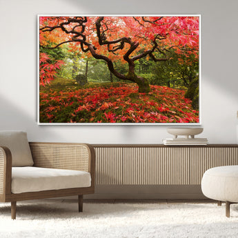 73343-MGV-CV-36X24-Autumn Maple Wall Art – Panoramic Vibrant Red Maple Tree Canvas Print, Seasonal Nature Decor for Office, Living Room or Garden