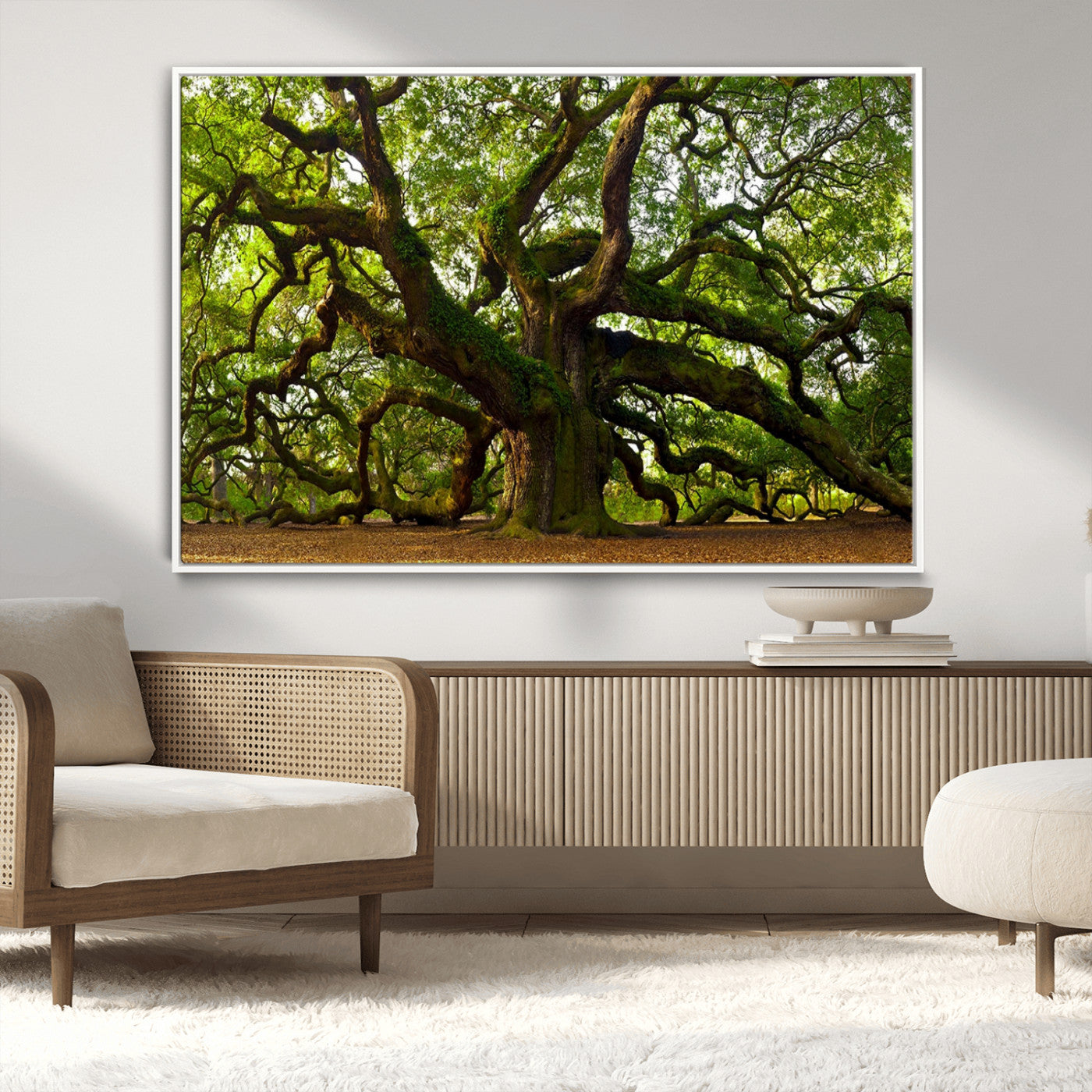 29407-MGV-CV-36X24-Ancient Oak Tree Wall Art – Majestic Nature Canvas Print, Large Tree Photography Decor for Living Room or Office