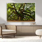 29407-MGV-CV-36X24-Ancient Oak Tree Wall Art – Majestic Nature Canvas Print, Large Tree Photography Decor for Living Room