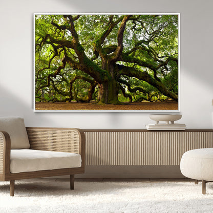 29407-MGV-CV-36X24-Ancient Oak Tree Wall Art – Majestic Nature Canvas Print, Large Tree Photography Decor for Living Room