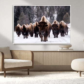 66871-MGV-CV-36X24-Bison Herd Wall Art – Wildlife Buffalo Canvas Print, Rustic Western Nature Photography Decor for Living Room, Office, Cabin, or