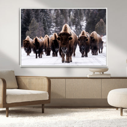 66871-MGV-CV-36X24-Bison Herd Wall Art – Wildlife Buffalo Canvas Print, Rustic Western Nature Photography Decor for Living Room, Office, Cabin, or