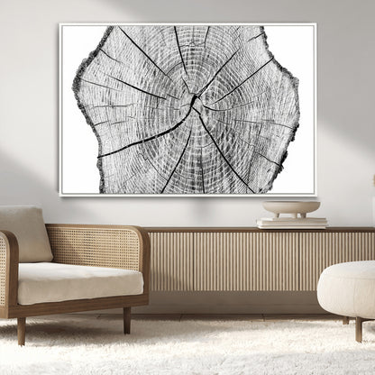 98709-MGV-CV-36X24-Tree Ring Wall Art – Black and White Canvas Print Rustic Wood Cross Section, Minimal Nature Inspired Decor for Living Room,