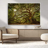 57983-MGV-CV-36X24-Angel Oak Tree Wall Art Canvas Print, Framed Oak Tree Art Picture Print, Angel Oak Perfect Rustic Nature Decor Artwork
