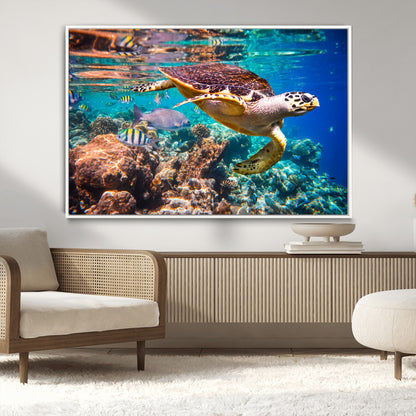 66614-MGV-CV-36X24-Sea Turtle Wall Art – Hawksbill Turtle Swimming Over Coral Reef Canvas Print, Ocean Marine Life Decor for Beach House, Coastal