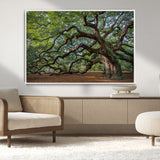 MGV-FC-36X24 - Historic Tree Wall Art Canvas Print, Framed Mossy Tree Art Picture Print, Twisted Branches Perfect Nature Southern Decor Artwork