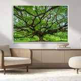 49375306-MGV-CV-36X24-Ancient Tree Wall Art Canvas Print, Framed Sprawling Branches Art Picture Print, Gnarling Tree Perfect Earthy Natural Decor