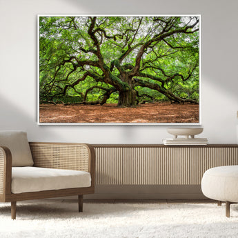 51255351-MGV-CV-36X24-Ancient Tree Wall Art – Majestic Oak Canvas Print, Large Nature Photography, Sacred Forest Landscape Wall Décor, Wisdom Tree