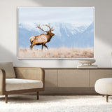 96024025-MGV-CV-36X24-Elk Photography Wall Art Canvas Print, Framed Mountain Wildlife Art Picture Print, Rustic Lodge Decor Perfect Rustic Lodge Decor