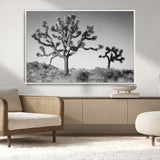 50975475-MGV-CV-36X24-Joshua Tree Art Wall Art Canvas Print, Framed Desert Tree Print Art Picture Print, Black White Nature Perfect Southwestern Boho