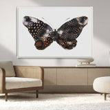 99831147-MGV-FC-36X24_White-Spotted Butterfly Wall Art Canvas Print, Framed Neutral Insect Theme Art Picture Print, Earthy Wing Pattern Perfect Modern Rustic