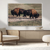 58141885-MGV-CV-36X24-Bison Photography Wall Art Canvas Print, Framed Western Wildlife Art Picture Print, Modern Ranch Perfect Western Rustic Decor