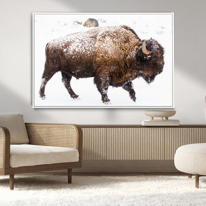 94261165-MGV-FC-36X24_White-Snowy Buffalo Wall Art Canvas Print, Framed Wildlife Photography Art Picture Print, Brown Tones Perfect Rustic Lodge Decor Decor