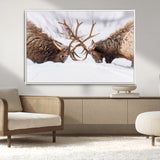 99240306-MGV-CV-36X24-Elk Wall Art – Two Bull Elk Fighting in Snow Canvas Print, Rustic Wildlife Artwork for Cabin, Lodge, Western Farmhouse, Nature &
