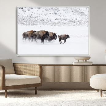 61161423-MGV-CV-36X24-Running Bison Herd Wall Art – Winter Buffalo Canvas Print, Wildlife Photography Decor for Rustic Living Room, Farmhouse, Lodge,
