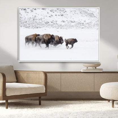 61161423-MGV-CV-36X24-Running Bison Herd Wall Art – Winter Buffalo Canvas Print, Wildlife Photography Decor for Rustic Living Room, Farmhouse, Lodge,