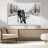 38956835-MGV-FC-36X24_White-Moose Winter Snowy Forest Canvas Wall Art – Wildlife Nature, Antlers in Frozen Landscape, Quiet Path, Cold Season Outdoors Print