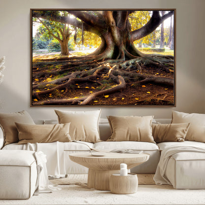 53335-MGV-FC-36X24_Walnut-Majestic Tree with Sprawling Roots Wall Art – Serene Sunlit Park Scene, Nature Canvas Print, Perfect for Living Room, Office or