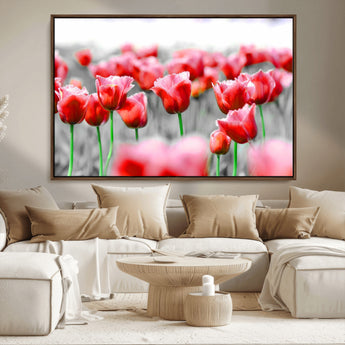 44554-MGV-CV-36X24-Vibrant red tulips stand out beautifully against a black-and-white background, making a striking decor piece perfect for any home