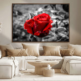 84671-MGV-CV-36X24-Red Rose Wall Art – Vibrant Single Bloom Canvas Print with Black and White Background, Elegant Floral Decor for Living Room,
