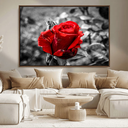 84671-MGV-CV-36X24-Red Rose Wall Art – Vibrant Single Bloom Canvas Print with Black and White Background, Elegant Floral Decor for Living Room,