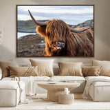 71222-MGV-CV-36X24-A playful Highland cow with shaggy fur sticks out its tongue, set against a rugged landscape — perfect for quirky home or office