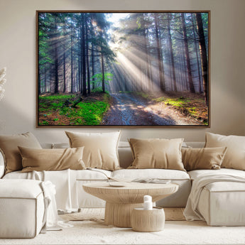 42047-MGV-FC-36X24_Walnut-Sunlit Forest Path Wall Art – Nature Canvas Print, Serene Woodland Landscape, Perfect Home & Office Decor for Calm and Tranquil