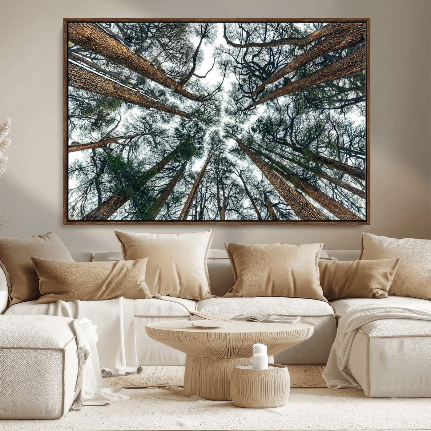 18790-MGV-CV-36X24-Pine Canopy Wall Art – Panoramic View of Towering Pines Canvas Print, Nature-Inspired Decor for Office, Cabin or Living Room