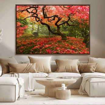 73343-MGV-FC-36X24_Walnut-Autumn Maple Wall Art – Panoramic Vibrant Red Maple Tree Canvas Print, Seasonal Nature Decor for Office, Living Room or Garden
